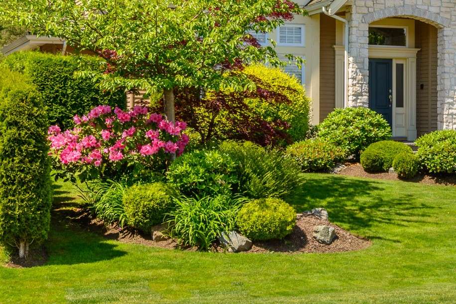 Staging Curb Appeal